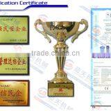 Suprerior Quality With Different Shapes Agriculture Wastes Charcoal Briquette Machine thumbnail-6