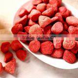 Vacuum Freeze Dryer for Fruit and Vegetable Manufacturer JK-FD-1N thumbnail-4
