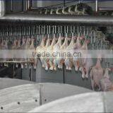 Bird Butcher Line for Slaughter Plant thumbnail-1