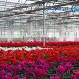 Flower Growing Greenhouse thumbnail-2