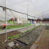 Brand New Glass Greenhouse for Sale thumbnail-6