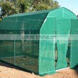 Raise a Shed/grow a Large Shed thumbnail-3