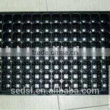 Plastic Material and PS Plastic Type 128 Seedling Trays thumbnail-3