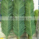 Hot Sale 2 Meter Coconut Trees Leaves, Artificial Coconut Trees Leaves thumbnail-6