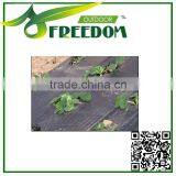 Cheap Price Agriculture Black Plastic Ground Cover thumbnail-2