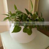 China Manufacturer PE Plastic Led Lighting Flower Pot thumbnail-2