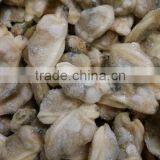 Short Necked Clam Meat For Frozen and Boiled IQF thumbnail-3