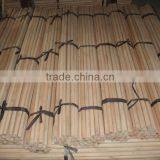 Broomstick Facebook thumbnail-3