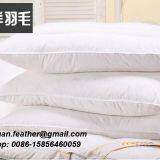China The Sea Feather Factory Direct Sale IMPERIAL 90% GOOSE DOWN/Duck Down PILLOW