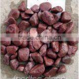 High Polished ! Natural Garden Pebbles for Sale