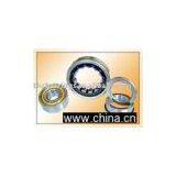 cylindrical roller bearing