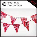 Bunting, Bunting Flag,Custom Outdoor String Bunting Banner thumbnail-1
