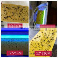 Factory Supply Cheap UV Lighted Fly Catching Paper With Reasonable Price thumbnail-5