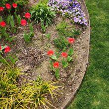 Landscape Edging,garden Edging,lawn Edging thumbnail-2