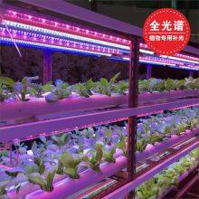 T8 Full Spectrum LED Plant Growth Lamp thumbnail-4