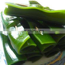 Seaweed Washing Machine/best Seller Kelp Cleaning Machine/seaweed Cleaning Machine thumbnail-5