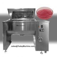 Spices Flour Coffee Beans Double Ribbon Powder Blender Mixer