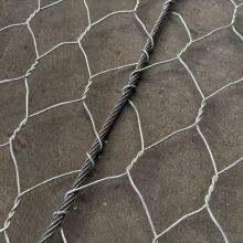 Polymer Coating Hexagonal Double Twisted Wire Mesh Rockfall Protection Mesh Price for Slope Protection thumbnail-3