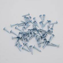 China-Made Galvanized Roofing Clout Nails - 1kg Box for Small Projects thumbnail-4