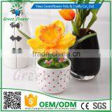 2016 Wholesale Multicolor Latex Artificial PU Flowers Narcissus Bonsai Real Touch Bouquet Wedding Bridal Decor Display Flower thumbnail-2