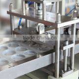 DB-450PP High Quality Oral Liquid/Solution Tray Thermoforming/Making Machine For PP/PS/PVC/PET Material thumbnail-4
