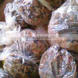 Natural LingZhi From Own Farm;For Show; for Eat; for Tea;Ganoderma Lucidum;China Traditional Medical; thumbnail-5