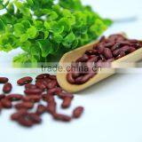 Dark Red Kidney Beans thumbnail-5
