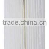 Polyester Pleated Filter Cartridge/1um 10'' Paper Filter Cartridge