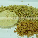 Soy Bean Powder thumbnail-1