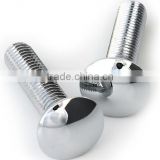OEM High Precision Nonstandard Fasteners Drywall Screw/grouting bolt