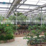 Greenhouse of Polycarbonate Sheet thumbnail-6
