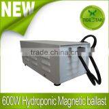 HPS/MH Magnetic 600W Ballast for HPS MH Grow Light Lamps Magnetic Ballast thumbnail-1