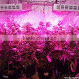 2015 Brand New Twilight Super 9 Indoor Led Grow Light for Plant thumbnail-5