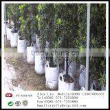 Landscape Gardening pp Nonwoven Fabrics Used To Protect the Plant Roots thumbnail-4