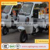 China New 250cc Three Wheel Mini Pedal Motorbikes for Sales thumbnail-2