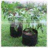 Nonwoven Fabric Raised Bed for Flowers (1 Gal to 1200 Gal) OEM Smart Pots thumbnail-4