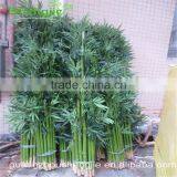 SJLJ013508 Guangzhou Shengjie Wholesale Artificial Plant and Tree / Fake Bamboo Plant thumbnail-2