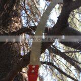 Outdoor Hand Pruning Saw for Cutting High Trees With Sharp Knife Blade thumbnail-3
