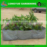 Large PE Vegetable Growing Bags thumbnail-1
