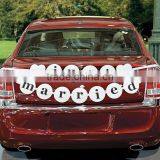 JUST MARRIED Wedding Car Bunting & BANNER & GARLAND for SIGN Wedding thumbnail-2