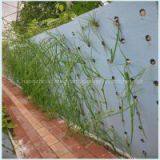 Sightseeing Agriculture Eco-friendly Use Breathable Healthy Seeding Planting Foam thumbnail-3