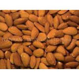 ALMONDNUTS,CASHEW NUTS AND MACADAMIA NUT AND PEANUTS FOR SALE