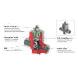 Check Valve thumbnail-2