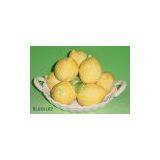 Sell Fruit Crafts and Holder