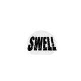 Ningbo Swell Auto Parts Co., Ltd.