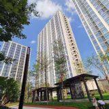 Aimeasure Technology Hongkong Co., Limited company overview - view 2 thumbnail