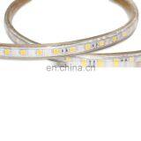 230v Full Spectrum Alexa Double Smd 2835 50 Meter Led Strip