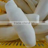 Best Price Cassava Root From Vietnam/ Frozen Tapioca