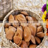 California almond in shell