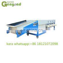 Fruit Sorting and Grading Machine for Apple/ Tomato/ Kiwi Fruit/ Potato/ Pineapple thumbnail-3